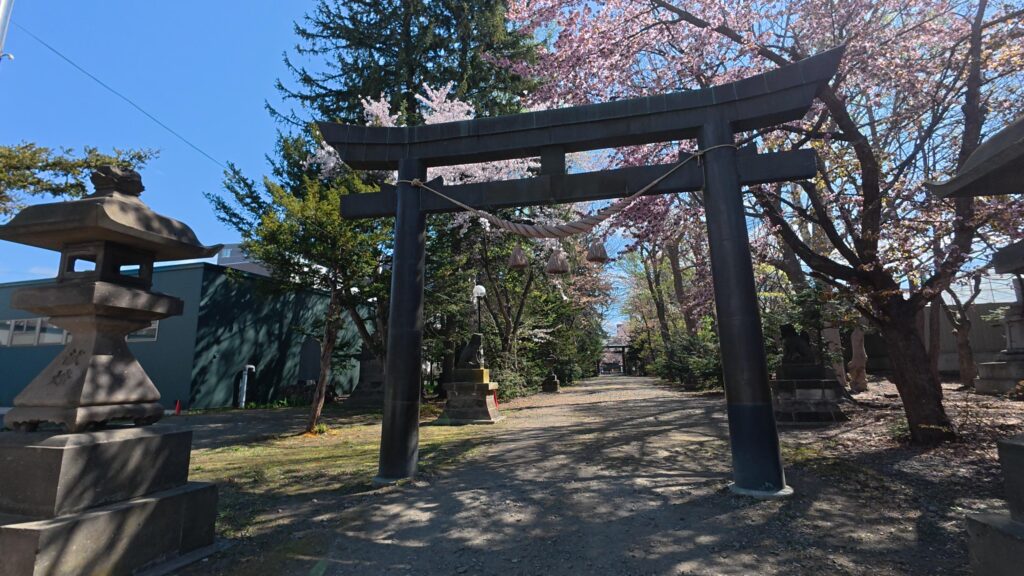 信濃神社の鳥居。お参りする人もちらほら…気持ち良い雰囲気に包まれています。