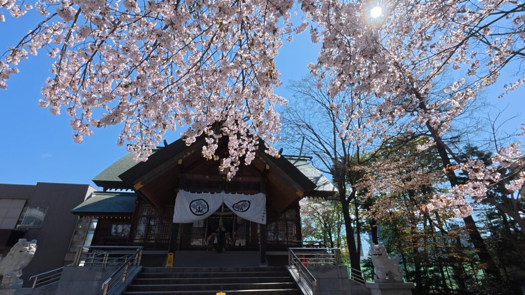 厳かながらも春の風が心地よすぎる本殿前。心が洗われます。