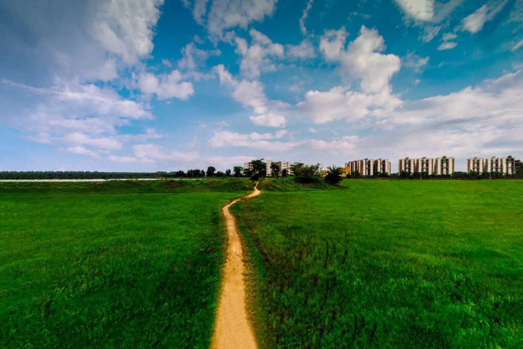 空を見上げる風景